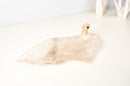 Hand - Carved Crystal Parrot on a Clear Quartz Bowl - E2D Crystals & Minerals