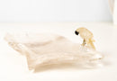 Hand - Carved Crystal Parrot on a Clear Quartz Bowl - E2D Crystals & Minerals