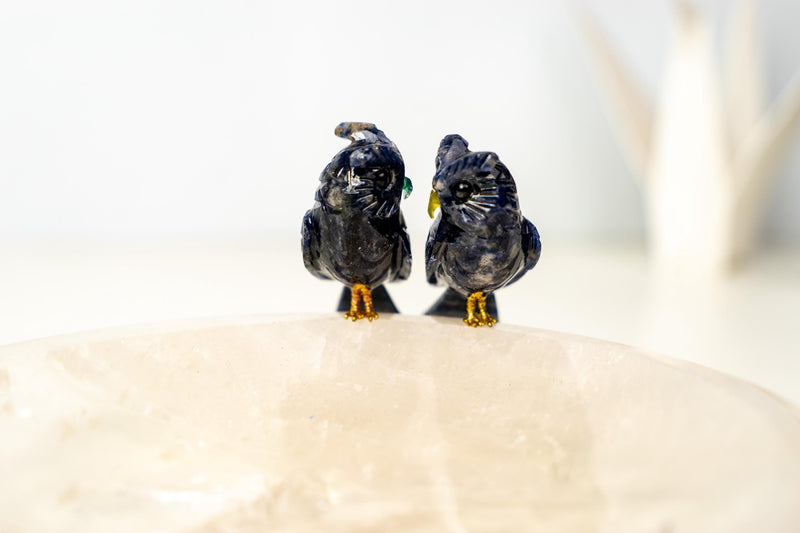 Couple of Sodalite Crystal Owls on a Clear Quartz Bowl - E2D Crystals & Minerals