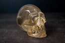 Citrine Crystal Skull made of Genuine Natural Golden Orange Citrine - E2D Crystals & Minerals