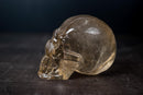 Citrine Crystal Skull made of Genuine Natural Golden Orange Citrine - E2D Crystals & Minerals