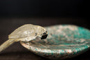 Hand - Carved Crystal Parrot on an Amazonite Quartz Bowl - Key or Jewelry Tray, Brazilian Stone Carving, 7x4" - E2D Crystals & Minerals