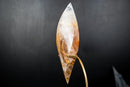 Golden Healer Quartz Crystal Flame Sculpture – Hand - Carved Hematoid Quartz - E2D Crystals & Minerals