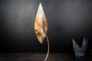 Golden Healer Quartz Crystal Flame Sculpture – Hand - Carved Hematoid Quartz - E2D Crystals & Minerals