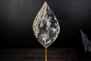 AAA - Grade Water - Clear Lemurian Crystal Quartz Flame Sculpture - E2D Crystals & Minerals