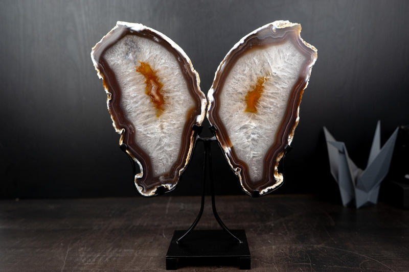 Agate Butterfly Wings with Deep - Amber Agate and Crystal Interior - E2D Crystals & Minerals