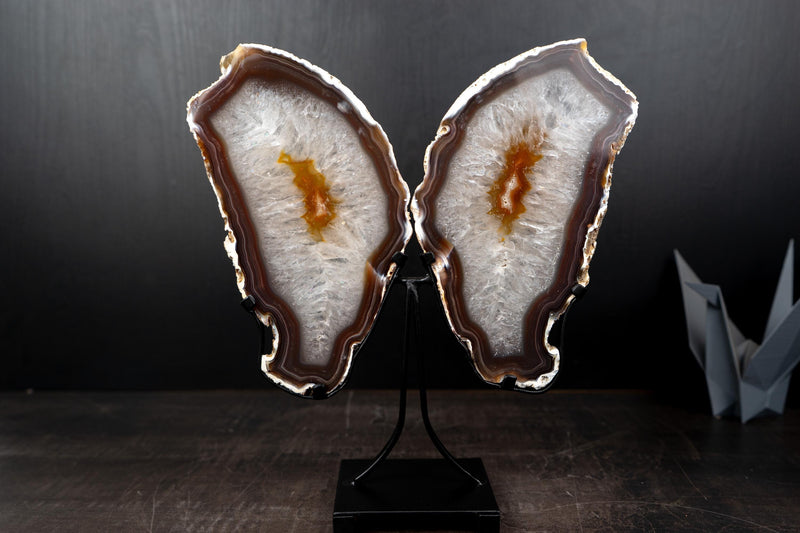 Agate Butterfly Wings with Deep - Amber Agate and Crystal Interior - E2D Crystals & Minerals