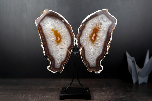 Agate Butterfly Wings with Deep - Amber Agate and Crystal Interior - E2D Crystals & Minerals