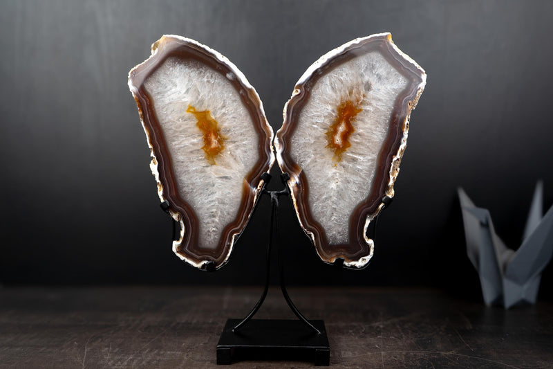 Agate Butterfly Wings with Deep - Amber Agate and Crystal Interior - E2D Crystals & Minerals