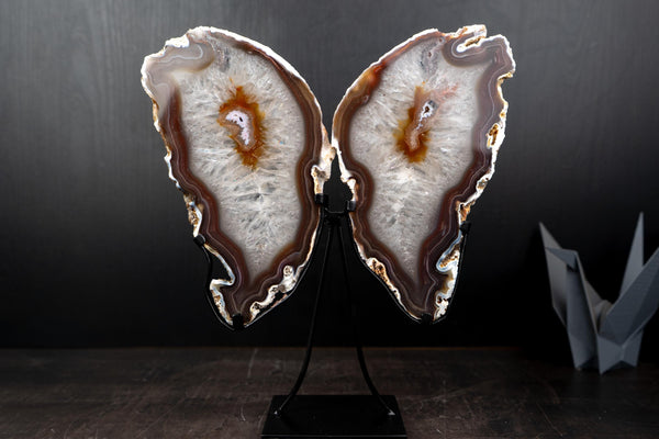 Natural Agate Slices Set as Butterfly Wings Sculpture - E2D Crystals & Minerals