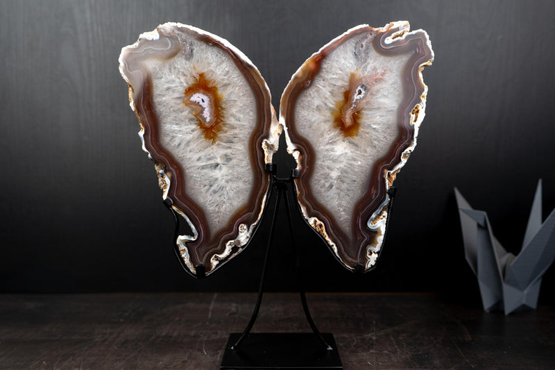 Natural Agate Slices Set as Butterfly Wings Sculpture - E2D Crystals & Minerals