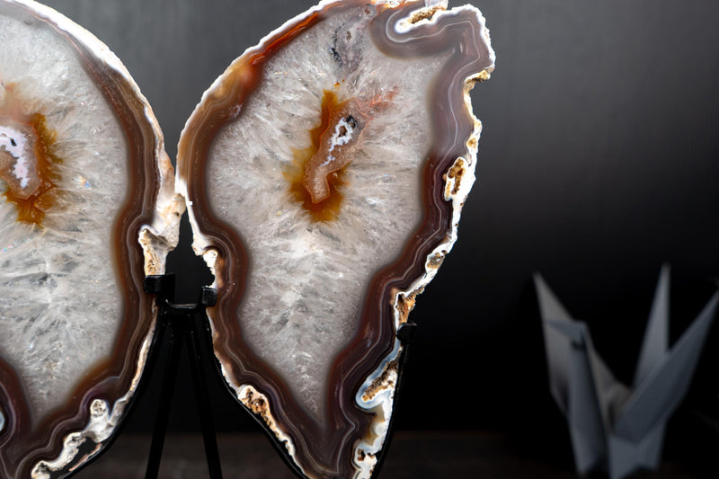 Natural Agate Slices Set as Butterfly Wings Sculpture - E2D Crystals & Minerals
