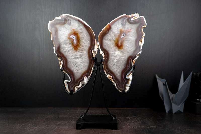 Natural Agate Slices Set as Butterfly Wings Sculpture - E2D Crystals & Minerals