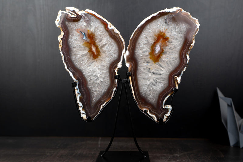 Natural Agate Slices Set as Butterfly Wings Sculpture - E2D Crystals & Minerals