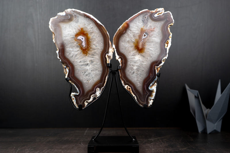 Natural Agate Slices Set as Butterfly Wings Sculpture - E2D Crystals & Minerals