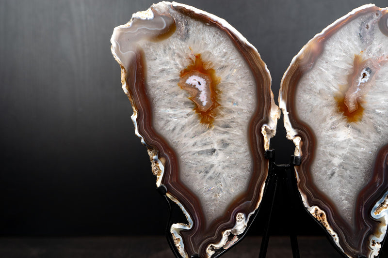 Natural Agate Slices Set as Butterfly Wings Sculpture - E2D Crystals & Minerals