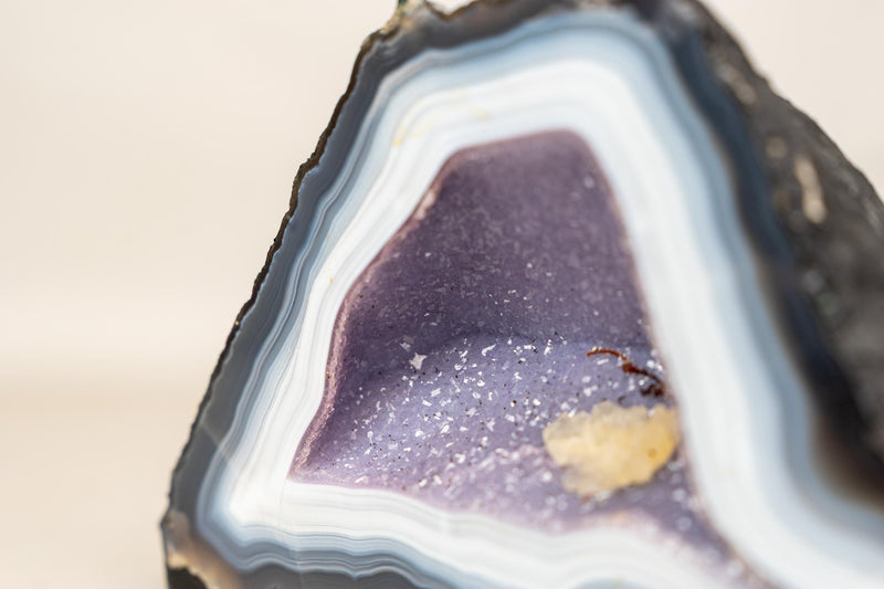 Rare Intact Blue & White Lace Agate Geode with Violet Druzy - E2D Crystals & Minerals