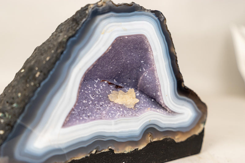 Rare Intact Blue & White Lace Agate Geode with Violet Druzy - E2D Crystals & Minerals