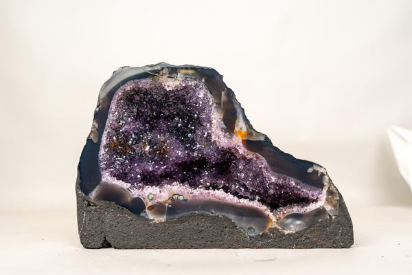 Small Amethyst Geode Cave with Galaxy Druzy and Golden Goethite Inclusions - E2D Crystals & Minerals
