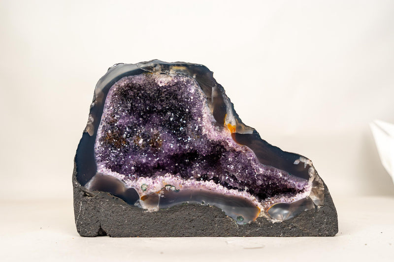 Small Amethyst Geode Cave with Galaxy Druzy and Golden Goethite Inclusions - E2D Crystals & Minerals