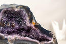 Small Amethyst Geode Cave with Galaxy Druzy and Golden Goethite Inclusions - E2D Crystals & Minerals