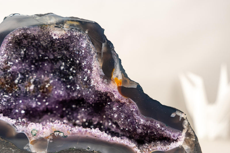 Small Amethyst Geode Cave with Galaxy Druzy and Golden Goethite Inclusions - E2D Crystals & Minerals