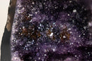 Small Amethyst Geode Cave with Galaxy Druzy and Golden Goethite Inclusions - E2D Crystals & Minerals