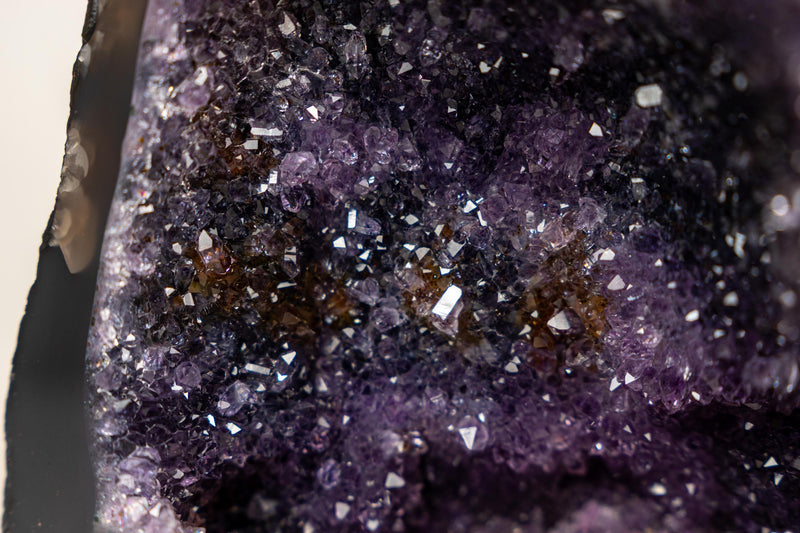 Small Amethyst Geode Cave with Galaxy Druzy and Golden Goethite Inclusions - E2D Crystals & Minerals