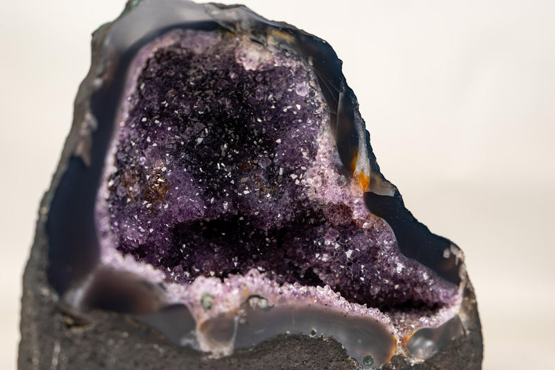 Small Amethyst Geode Cave with Galaxy Druzy and Golden Goethite Inclusions - E2D Crystals & Minerals
