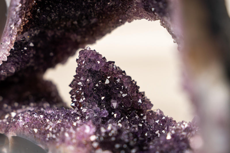 Rare Amethyst Geode with Calcite Crystal Formation Covered in Galaxy Druzy - E2D Crystals & Minerals