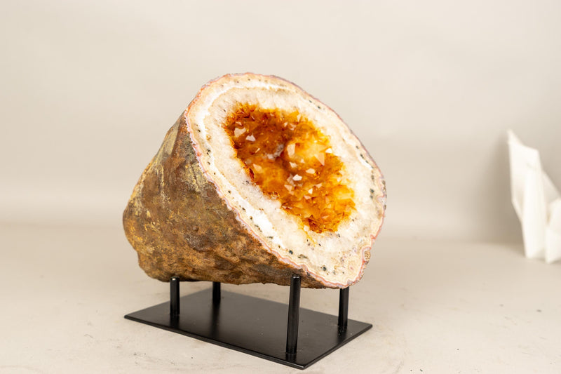 Natural Citrine Geode Cave with Golden - Orange Druzy & Flower Rosettes - E2D Crystals & Minerals