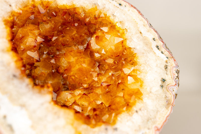 Natural Citrine Geode Cave with Golden - Orange Druzy & Flower Rosettes - E2D Crystals & Minerals