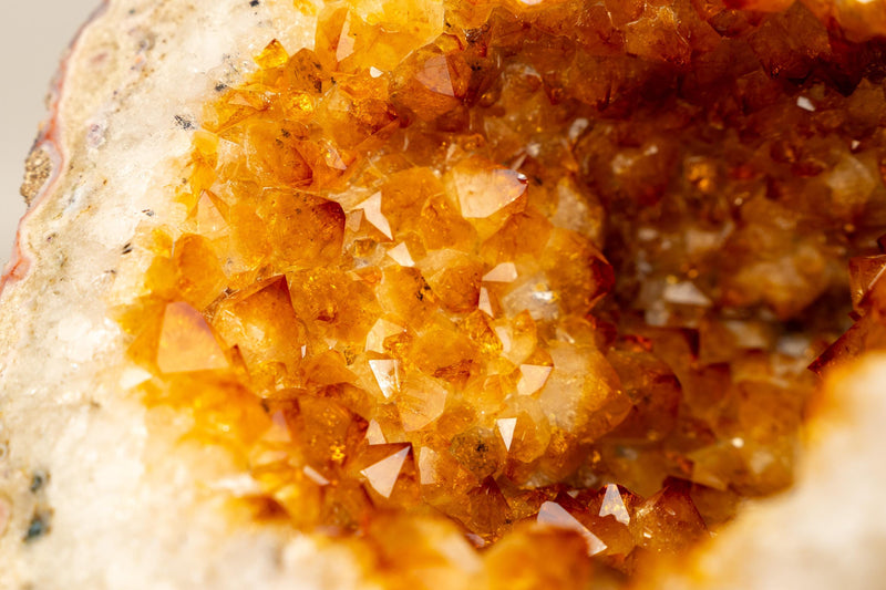 Natural Citrine Geode Cave with Golden - Orange Druzy & Flower Rosettes - E2D Crystals & Minerals