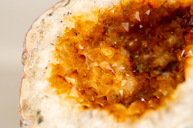 Natural Citrine Geode Cave with Golden - Orange Druzy & Flower Rosettes - E2D Crystals & Minerals