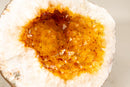 All - Natural Small Citrine Geode Cave with Sparkly Orange Citrine - E2D Crystals & Minerals