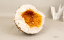All - Natural Small Citrine Geode Cave with Sparkly Orange Citrine - E2D Crystals & Minerals