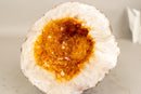 All - Natural Small Citrine Geode Cave with Sparkly Orange Citrine - E2D Crystals & Minerals