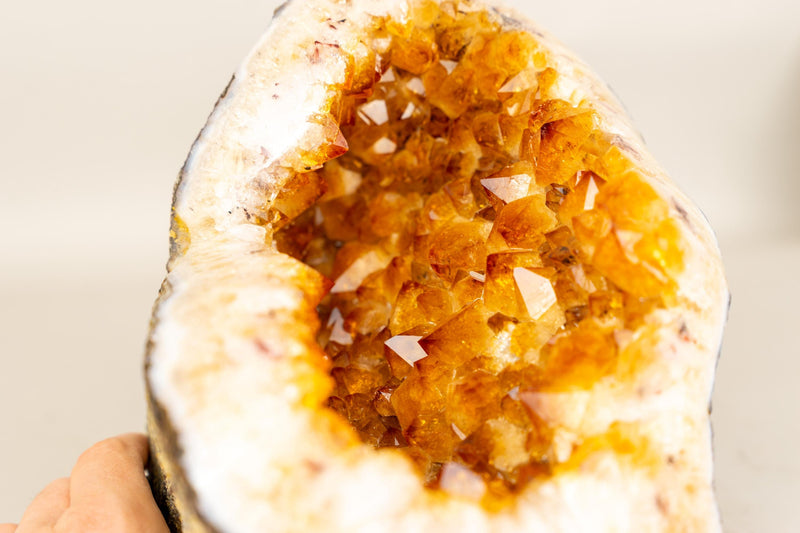 Natural Citrine Geode Cave with Golden Orange Citrine Points - E2D Crystals & Minerals