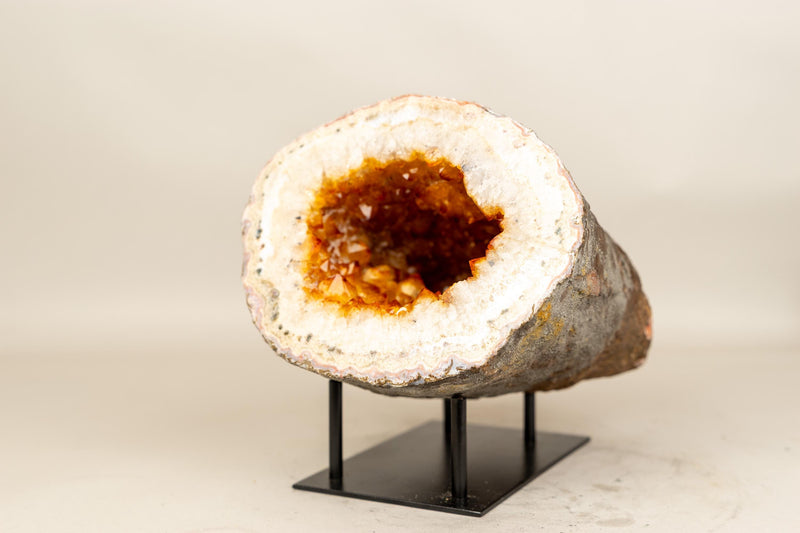 Natural Citrine Geode Cave with Golden - Orange Druzy on Quartz Frame - E2D Crystals & Minerals