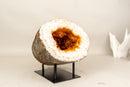 Natural Citrine Geode Cave with Golden - Orange Druzy on Quartz Frame - E2D Crystals & Minerals
