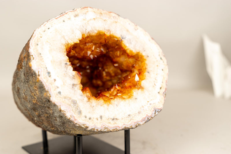 Natural Citrine Geode Cave with Golden - Orange Druzy on Quartz Frame - E2D Crystals & Minerals