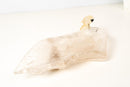 Hand - Carved Crystal Parrot on a Clear Quartz Bowl - E2D Crystals & Minerals