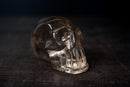 AAA - Grade Smoky Citrine Quartz Skull – Small Hand - Carved Honey Citrine Crystal - E2D Crystals & Minerals