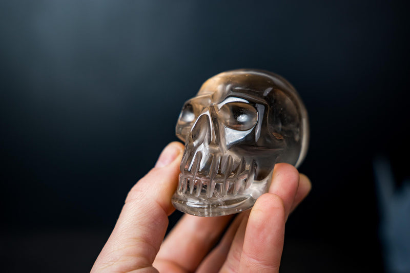 AAA - Grade Smoky Citrine Quartz Skull – Small Hand - Carved Honey Citrine Crystal - E2D Crystals & Minerals