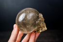 Citrine Crystal Skull made of Genuine Natural Golden Orange Citrine - E2D Crystals & Minerals