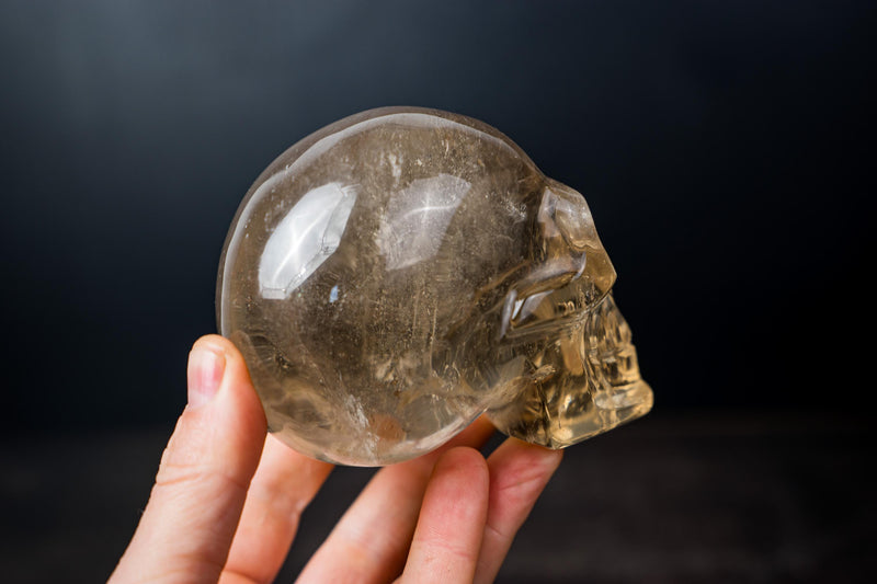 Citrine Crystal Skull made of Genuine Natural Golden Orange Citrine - E2D Crystals & Minerals