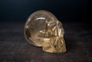 Citrine Crystal Skull made of Genuine Natural Golden Orange Citrine - E2D Crystals & Minerals