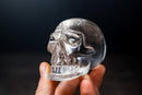 Real Crystal Skull in Natural Crystal - Clear Diamantina Quartz - E2D Crystals & Minerals