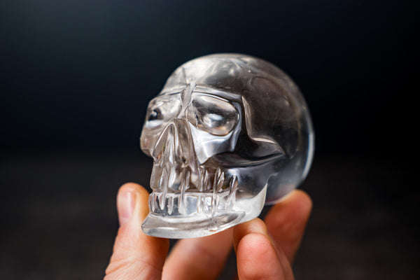 Real Crystal Skull in Natural Crystal - Clear Diamantina Quartz - E2D Crystals & Minerals