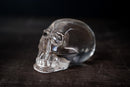 Real Crystal Skull in Natural Crystal - Clear Diamantina Quartz - E2D Crystals & Minerals